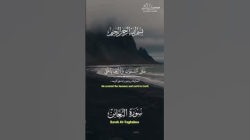 سوره التغابن- شیخ صلاح الباجی Surah At-Taghabun Sheikh Salah Al Baji