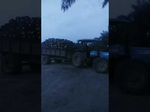 Bubrah (Didi Kempot)