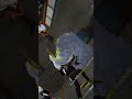 add