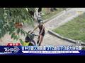 台中小鐵人挑戰賽 3-12歲孩子分組力拚完賽｜TVBS新聞 @TVBSNEWS01