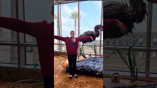 Nationals Bloopers #gym #meet #shorts #funny #bloopers #memes #national #fun #gymnast #hashtag #cool