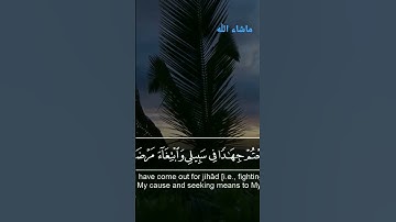 سورة الممتحنة صوت رائع القارئ        شريف مصطفى