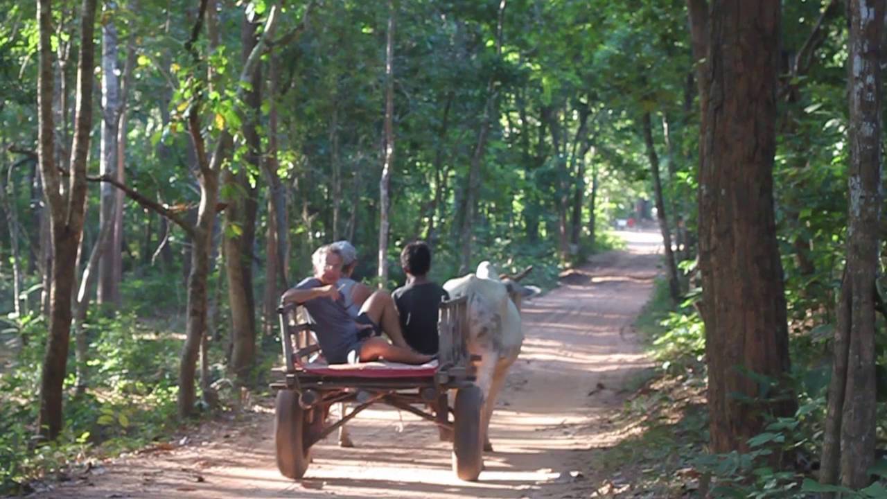 Kirirom National Park & Chambok Eco Community Tours with Vana Travel