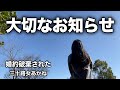 【闇】投稿をお休みしていた理由をお話しします。#ぼっち酒 #酒飲み女