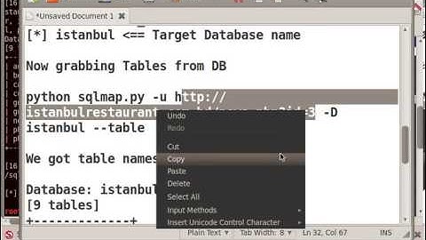 Sqlmap Website Hacking Tut BackTrack5 by N3t Att4ck3r
