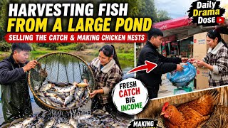 Harvesting Fish From a Large Pond Selling the Catch & Making Chicken Nests #viral #foryou #tranding