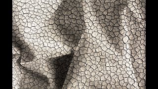 Macro Photography Using Tissue Super Creatively - Macroworld