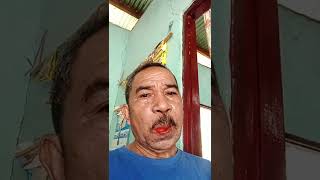 Download Lagu katakan mama padaku MP3