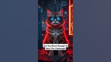 Is it a Cat or a Hacker? Cyber War has begun!#CatAttack#CyberCat