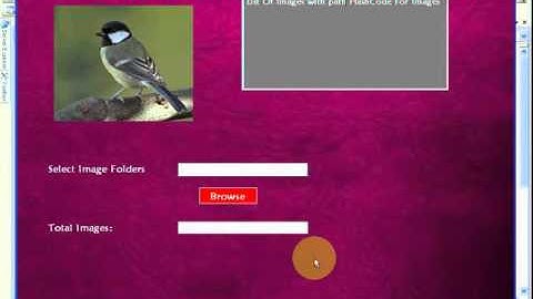 Image search using Query Adaptive Hash code Methodology - PASS MSc Projects
