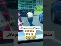 هههههههههه مشفوهاش هذي مشفوهاش 