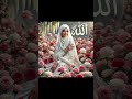 Beautyful Nasheed Islamique #love #hijab #music #song #newmusic #allah #allahuakbar