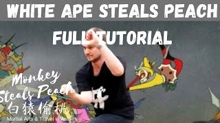 NEW MANTIS KUNG FU TUTORIAL - White Ape Steals Peach - trailer