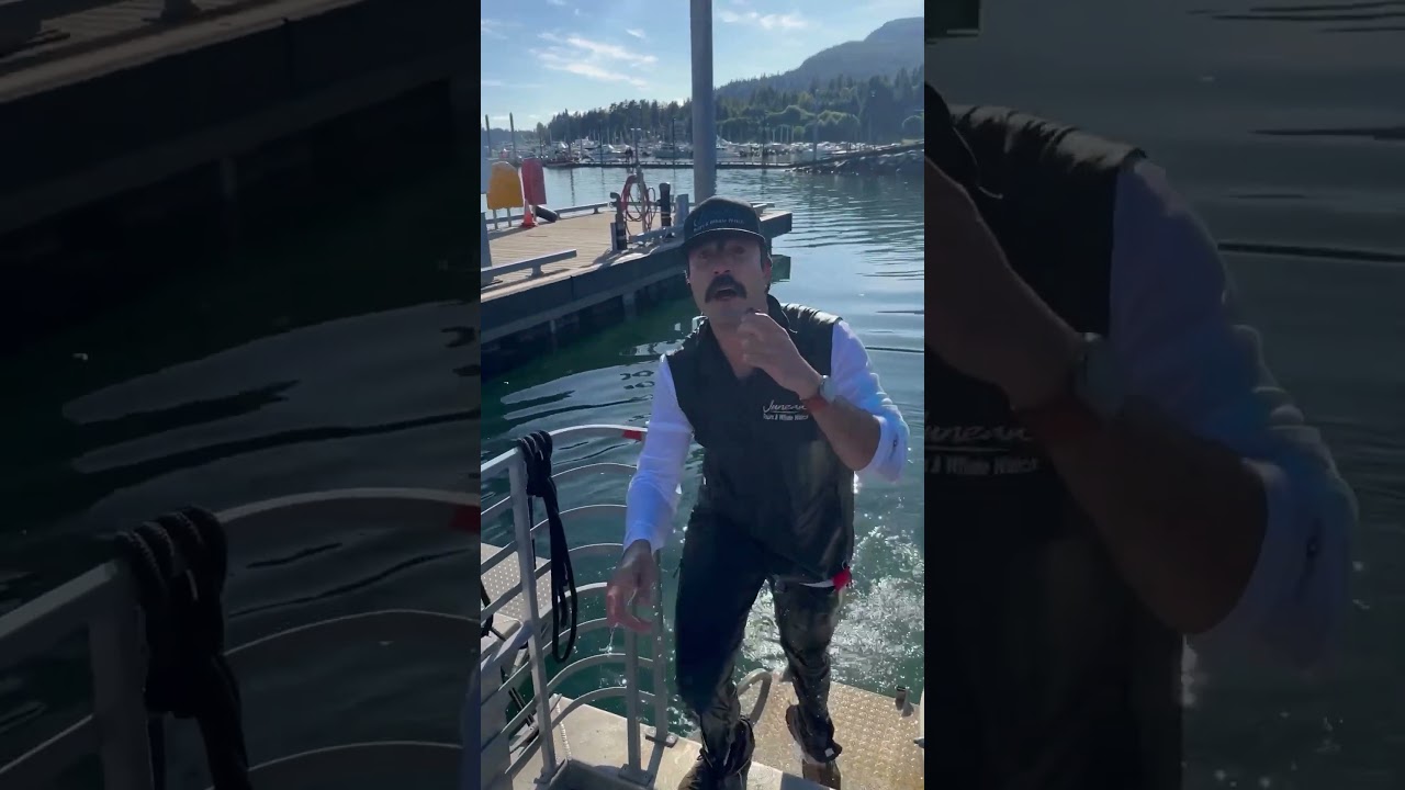 Whale Watching in Juneau Alaska with Juneau Tours