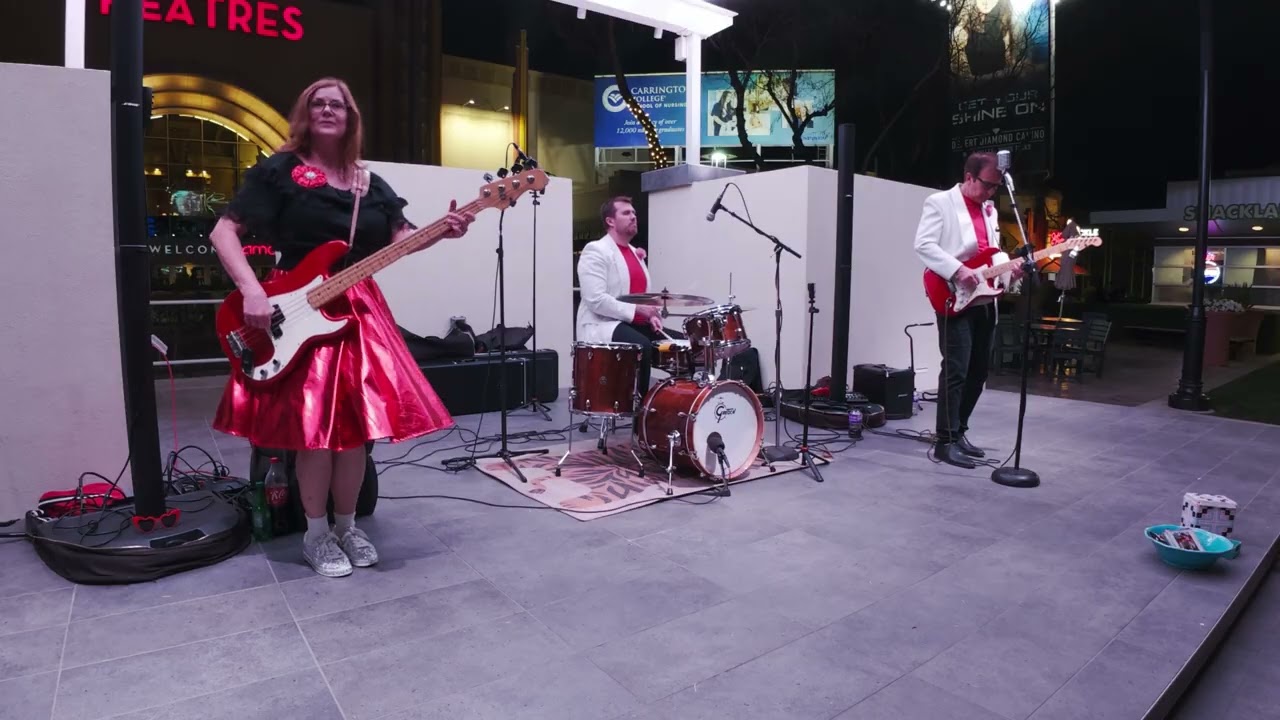 Come Back Buddy - Hound Dog