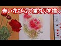 【透明水彩画】赤い花びらの重なりを描く