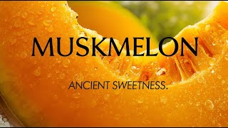 Muskmelon Origins, Nutrition, Cultivation Cultural Journey