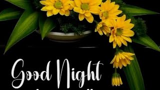 Good night photos  !! Good night everyone  !! Have a nice day