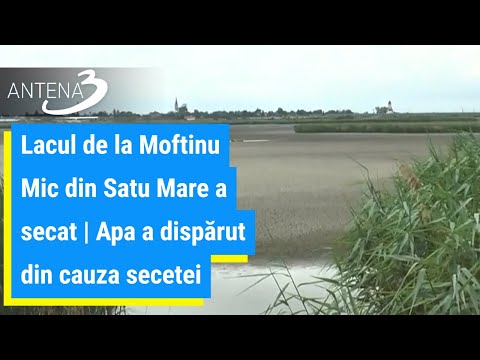 Lacul de la Moftinu Mic din Satu Mare a secat | Apa a dispărut din cauza secetei