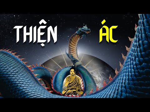 Video Vì sao loài Rắn gắn liền với Quỷ Dữ nhưng lại là biểu... - youtube