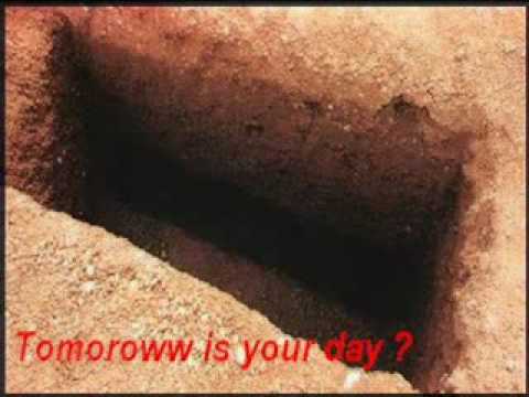 الدنيا غرارة كذابة تضحك على أهلها Flv 