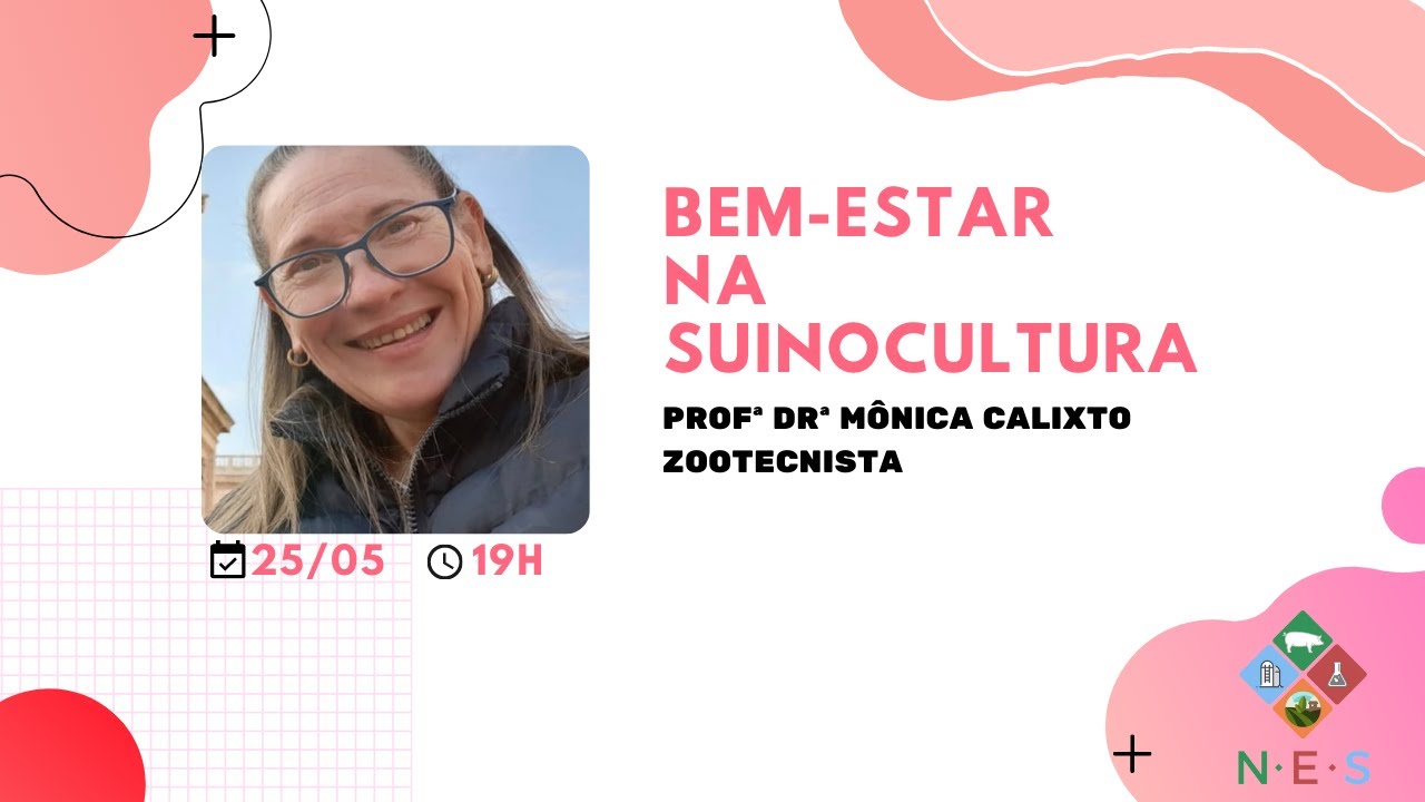 BEM ESTAR NA SUINOCULTURA YouTube