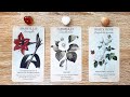 THE MESSAGE YOU HAVE BEEN WAITING FOR! 🌹🍰🌿 | Pick a Card Tarot Reading