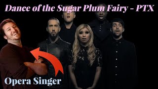 Opera Singer Reacts - Dance of the Sugar Plum Fairy || Pentatonix