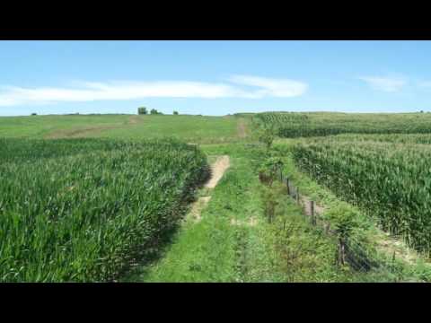 Craigslist Bowling Green Ky Farm Garden