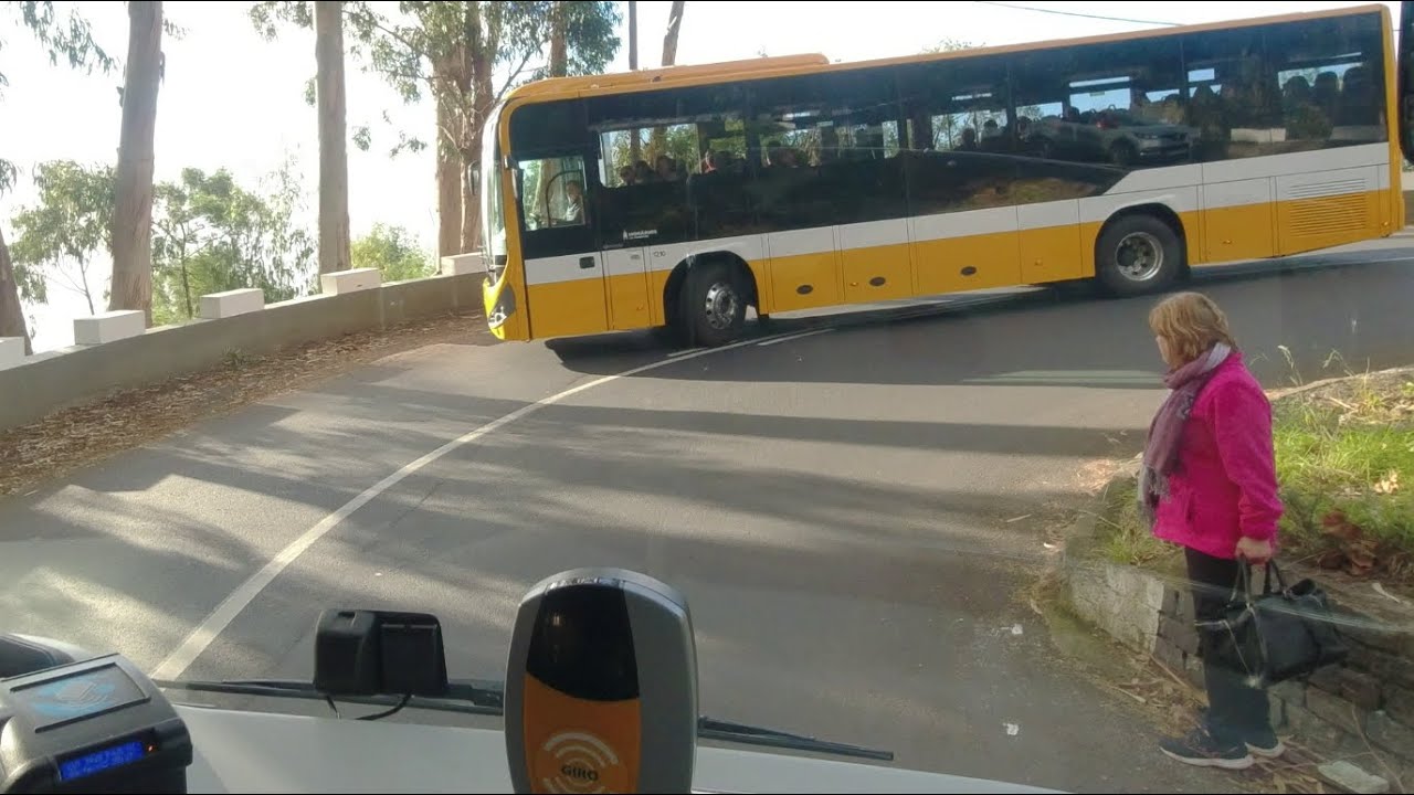 Madeira Funchal to Eira do Serrado Bus 81