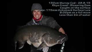 Celebrity 130cm Surface Murray Cod - Release Video Wealth