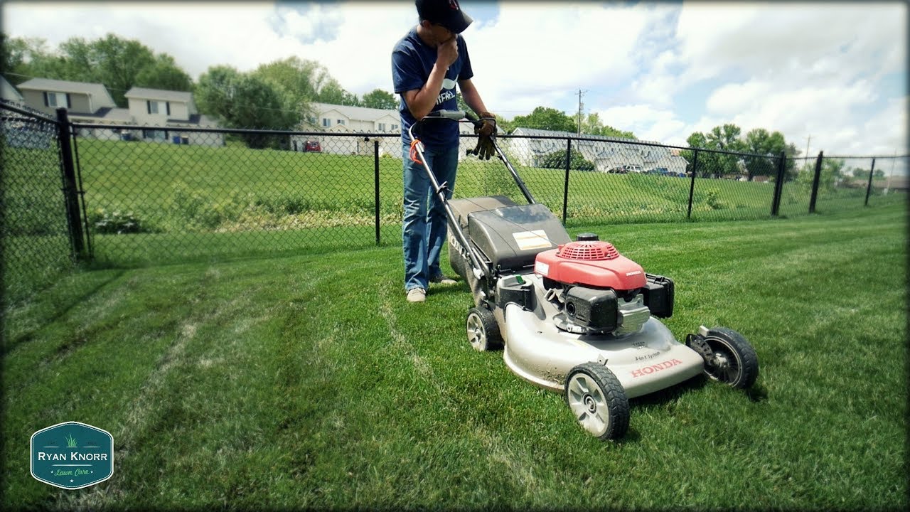 Mowing Wet Grass + So Many Updates! - YouTube