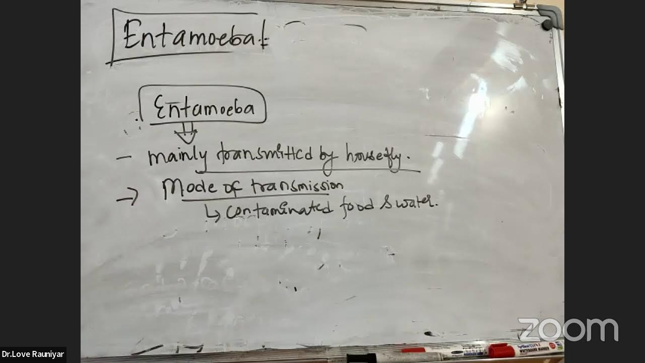 Smart Academy's Online Class | Zoology