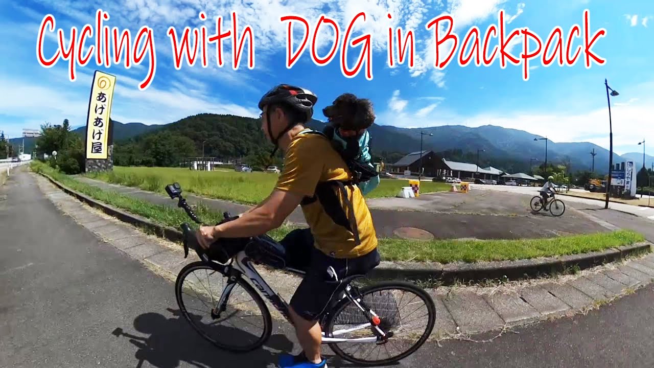 【K9 Sport Sack】犬を背負ってサイクリングしたら嬉しそうな顔してました。私も嬉しい。 YouTube