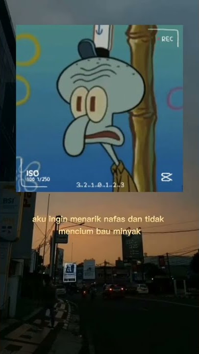 kata kata squidward sad boy story wa