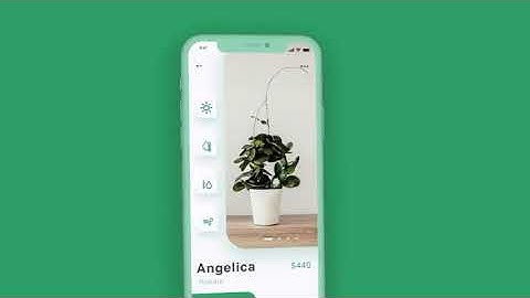 Plant App   Flutter UI