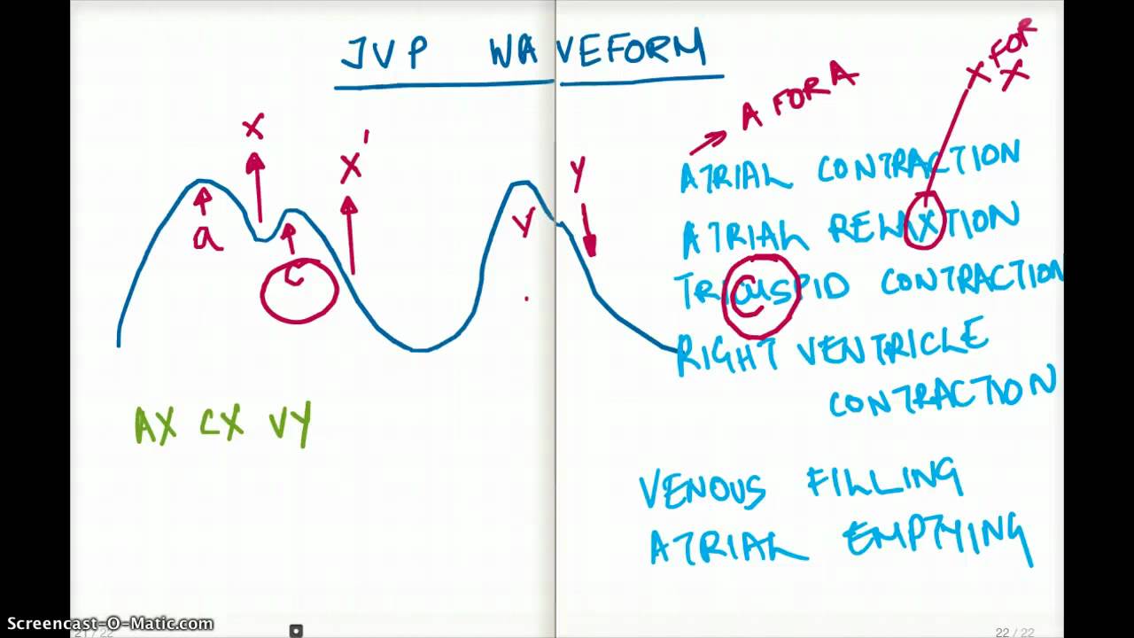 Easy Ways To Remember Jvp Waveform Youtube