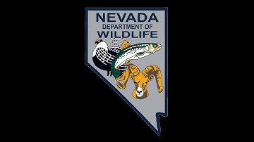 Chronic Wasting Disease Self Sampling Instructions