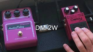 Delays Maxon Ad999 Vs Boss Dm-2W