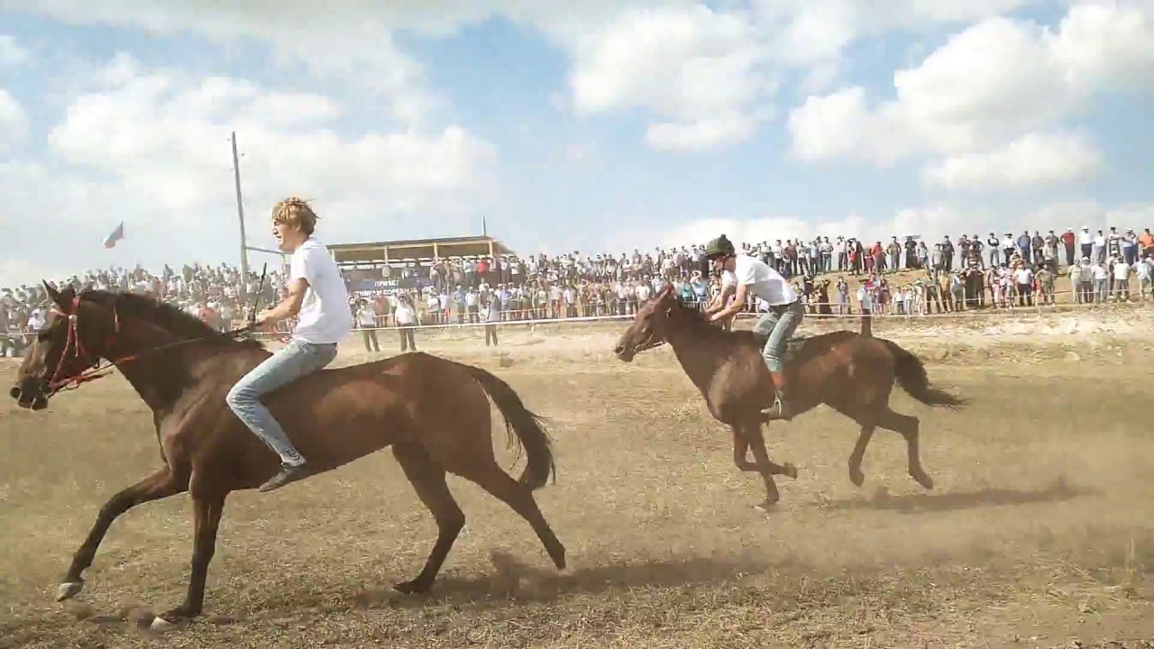 Аът чарыжы рисунки