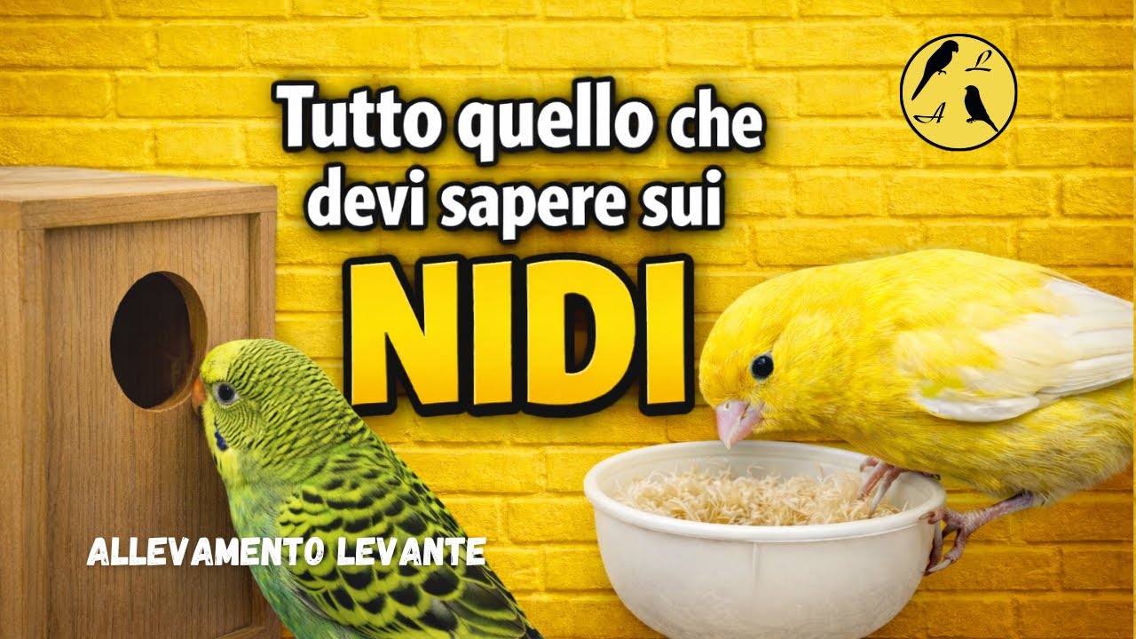 Tutorial Nidi Canarini e Pappagallini | Bird Nest Tutorial 