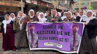 Li Geverê Dayikên Aştiyê Bila Deriyê Sînor Ê Murşîtpinarê Bê Vekirin