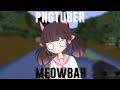 Reacting to PNG-tuber&#39;s Meowbahh Tik Toks