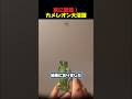 家に蜘蛛！カメレオンの出番
