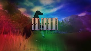 Star Stable Regular Collab Wshadoezi