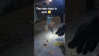 cop pov aressting pixies distributi g pixie dust #meme #cops #pixie #fairytales #podcast #sora2 #ai