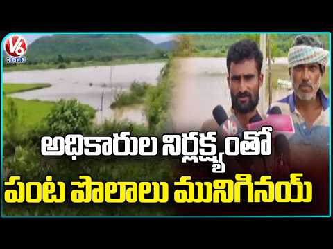Farmers In Concern As Crops Submerged At Kadem Left Canal Surroundings | Adilabad | V6 News - V6NEWSTELUGU