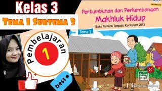 Penjelasan Buku Siswa Kelas 3 Tema 1 Subtema 3 Pembelajaran 1