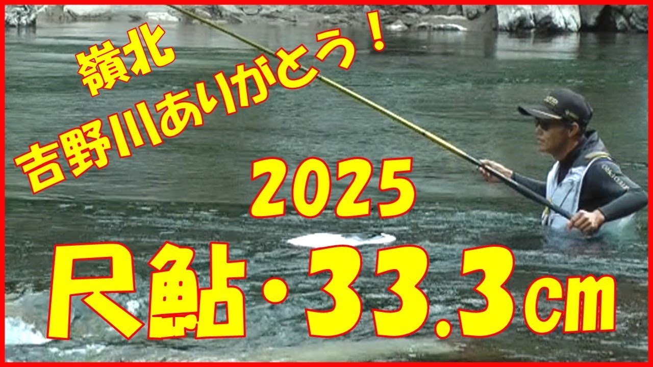 2025/10/12 四国三郎・吉野川【尺鮎ゲット！】釣れたらいいね！なんちゃんチャンネル