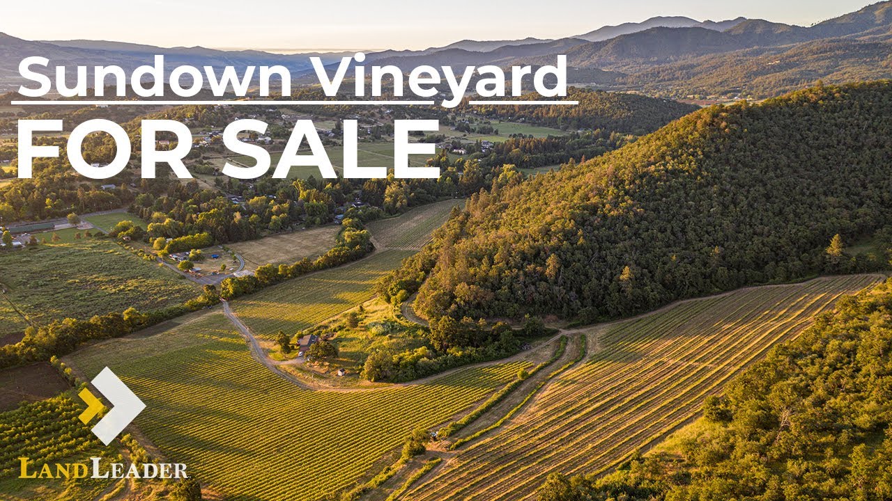 Medford 100+ Acres Vineyard for Sale | Sundown Vineyard | SOLD by Martin Outdoor Property Group